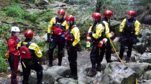 Team members gathering for the training