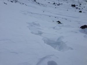 The snow readily fractures into blocks when walked on. A classic sign of 'windslab'