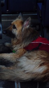 Scafell Pike - Mon 22nd Apr 2013 - 20130422-235138.jpg